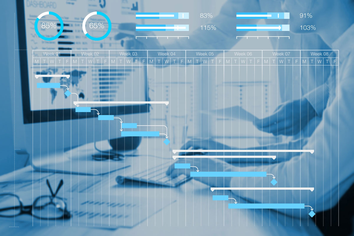 Project timeline and rollout schedule illustrating structured IT deployment planning